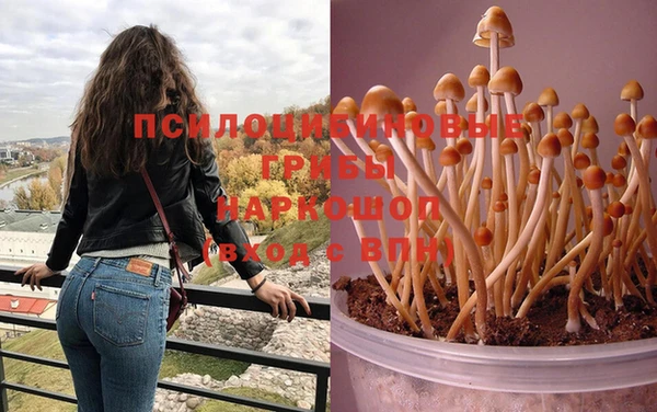 скорость Балахна