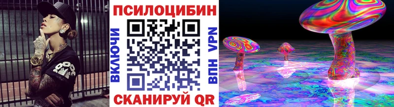 omg ссылки наркошоп Заозёрск Псилоцибиновые грибы прущие грибы